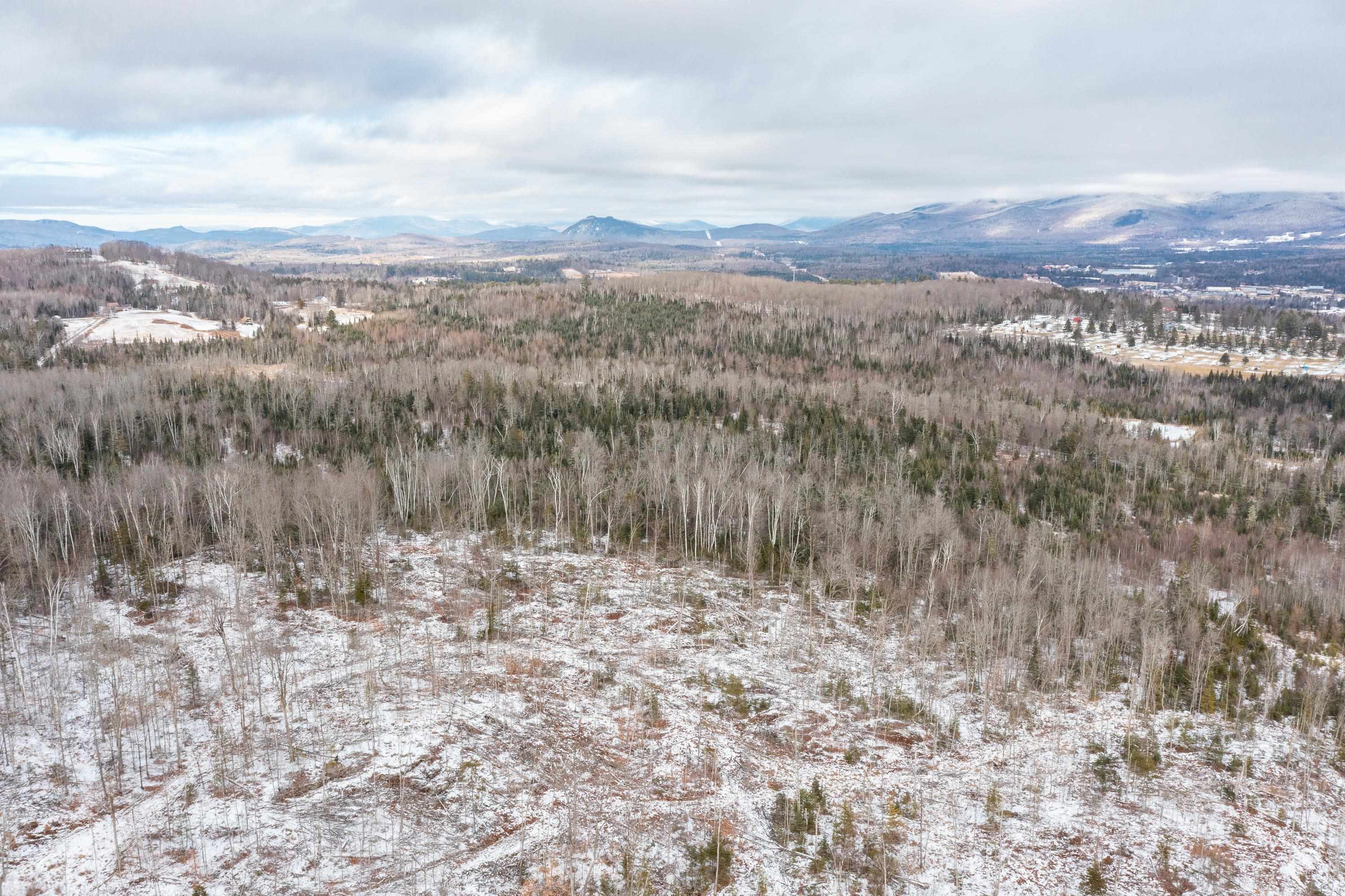 0 Mt Prospect Road, Unit LOT 45 Lancaster, NH 03584 - Photo 1 of 21