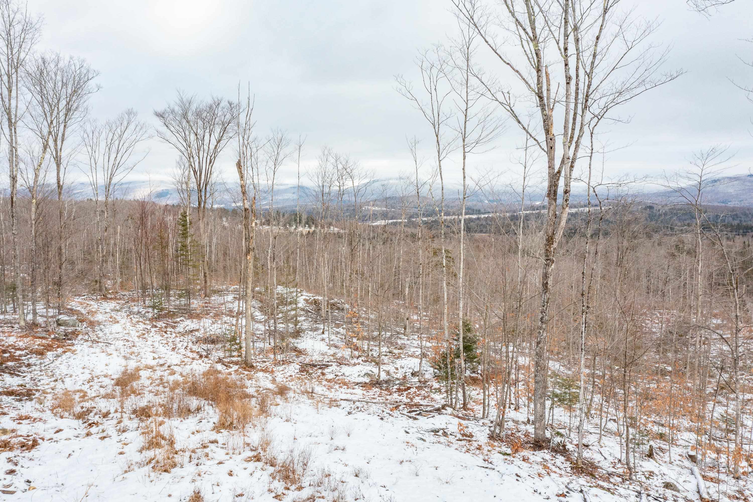 0 Mt Prospect Road, Unit LOT 45 Lancaster, NH 03584 - Photo 14 of 21