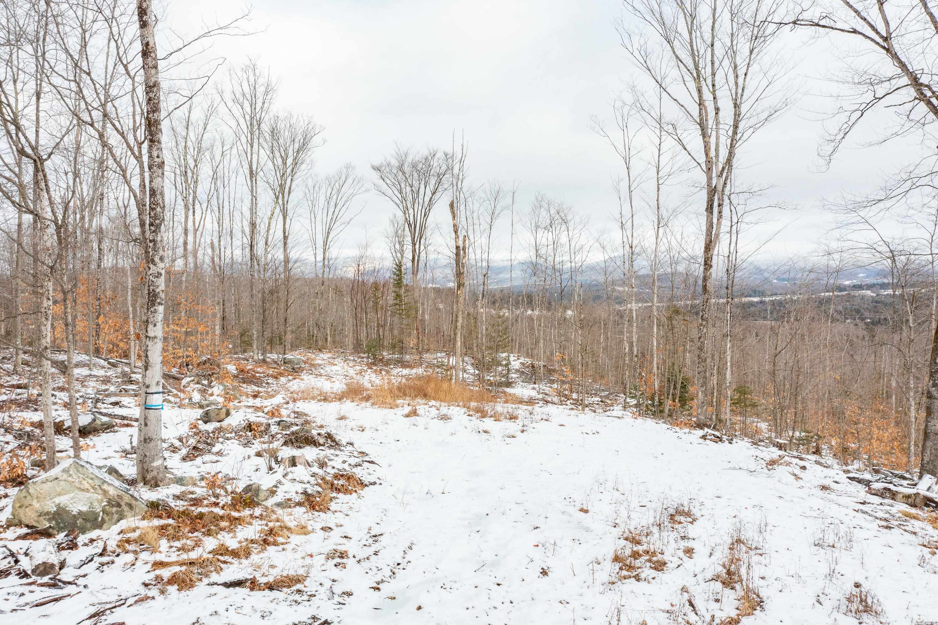 0 Mt Prospect Road, Unit LOT 45 Lancaster, NH 03584 - Photo 18 of 21