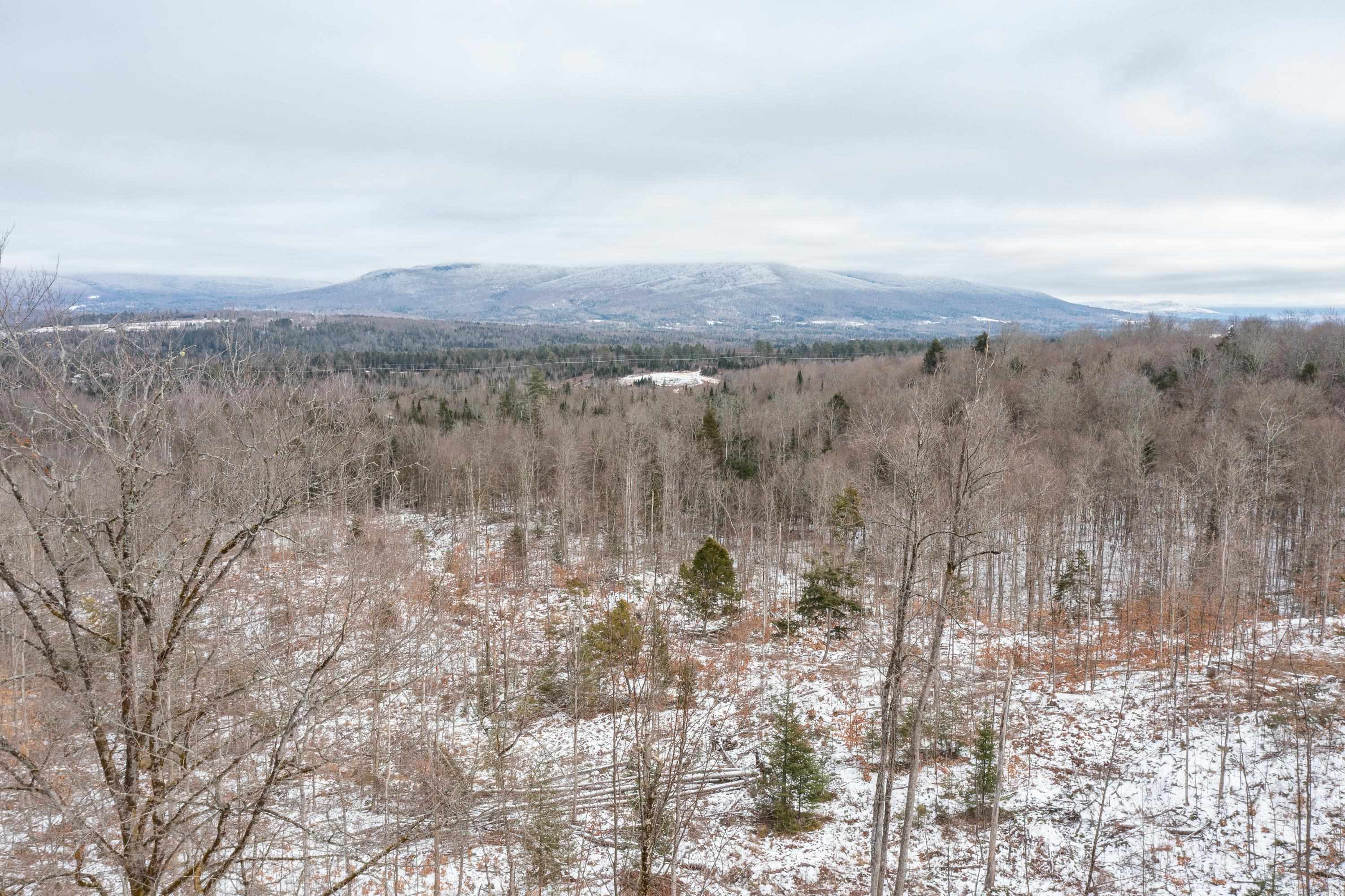 0 Mt Prospect Road, Unit LOT 45 Lancaster, NH 03584 - Photo 2 of 21