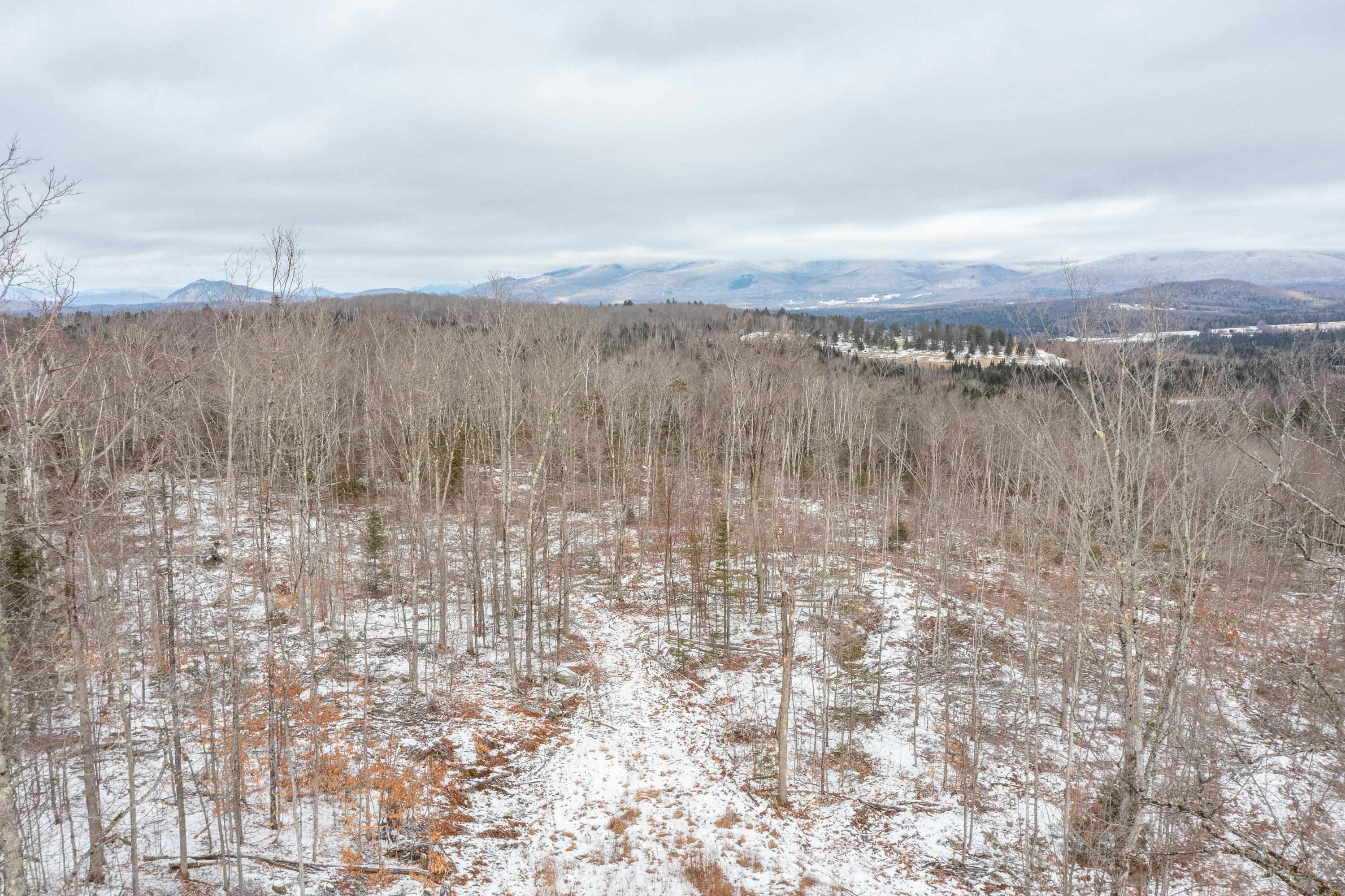 0 Mt Prospect Road, Unit LOT 45 Lancaster, NH 03584 - Photo 4 of 21
