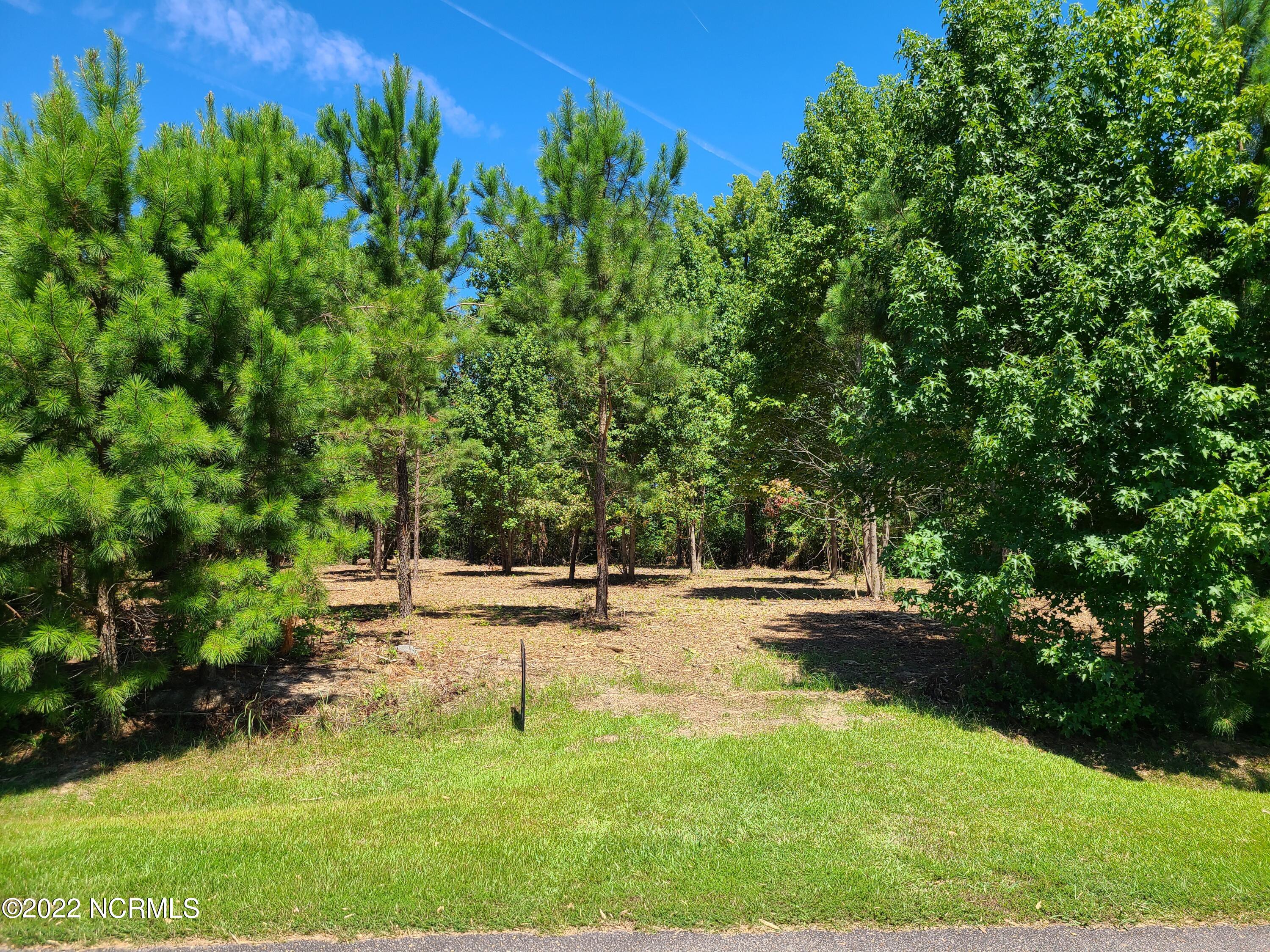 35 Treasure Point Road Bath, NC 27808 - Photo 2 of 15 20220818_121842