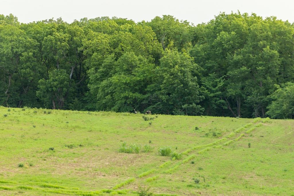 0 Little Platte Road Edgerton, MO 64444 - Photo 33 of 53