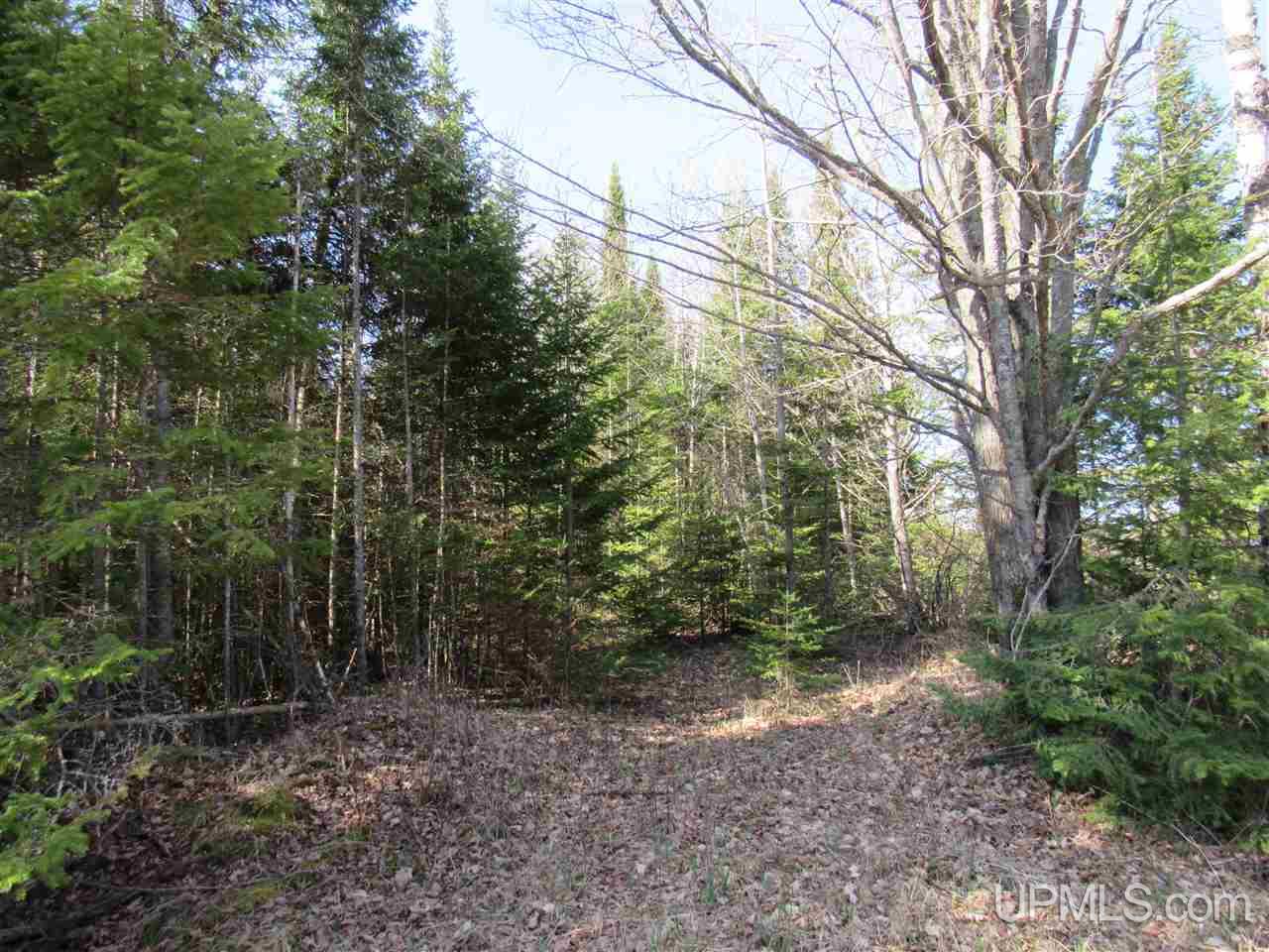 Tbd H Road Bark River, MI 49807 - Photo 8 of 24