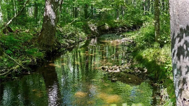 $1,339,290 | 7 Comet Road, Exeland, WI 54835