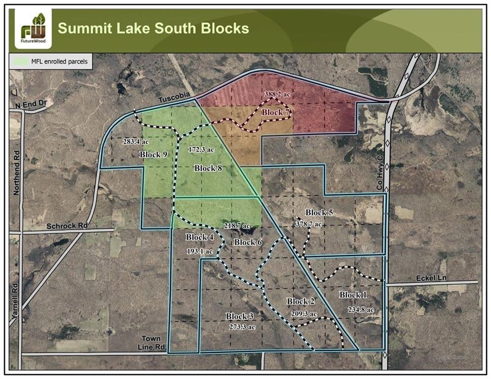 7 Comet Road Exeland, WI 54835 - Photo 7 of 34