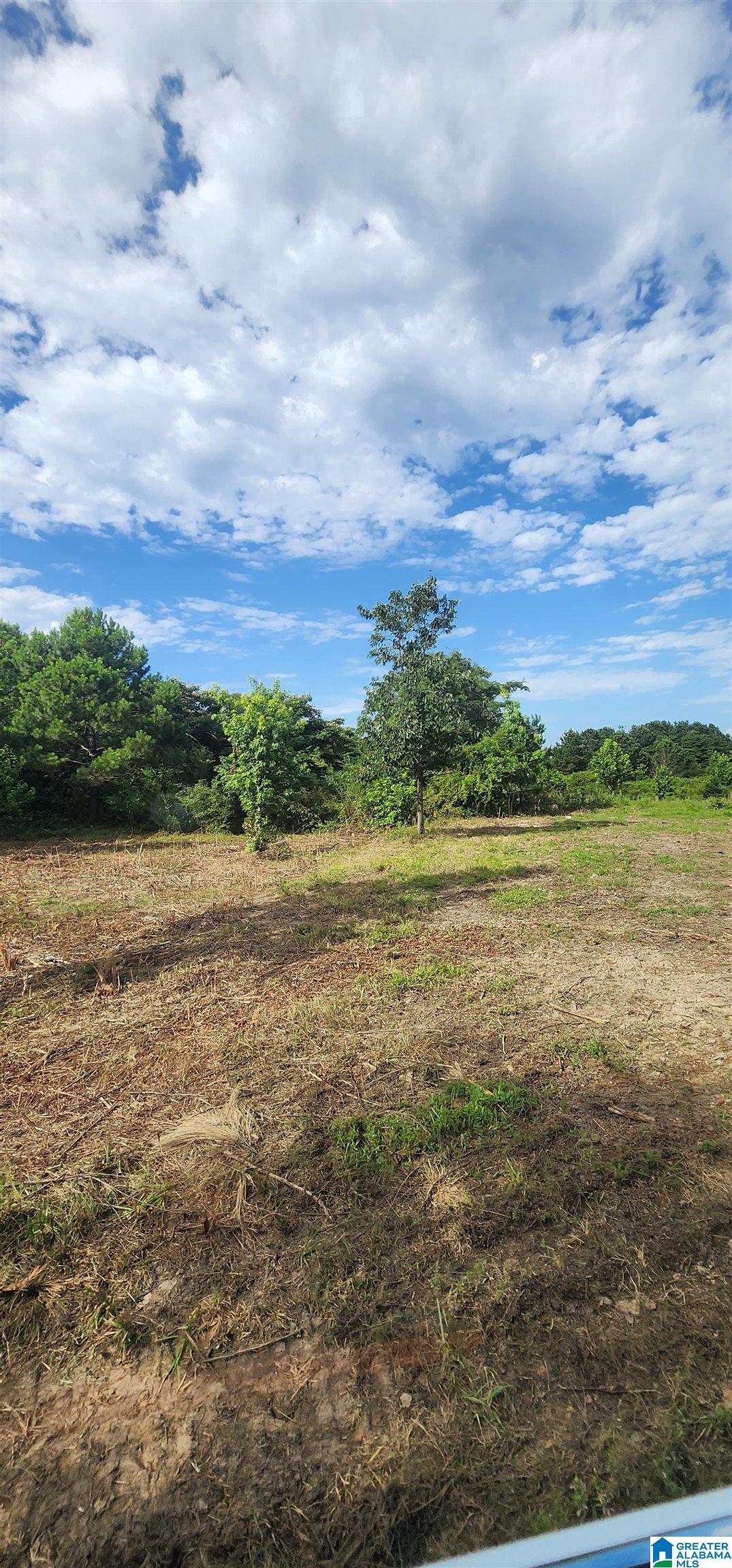 3606 Hicks Road Oneonta, AL 35121 - Photo 57 of 61