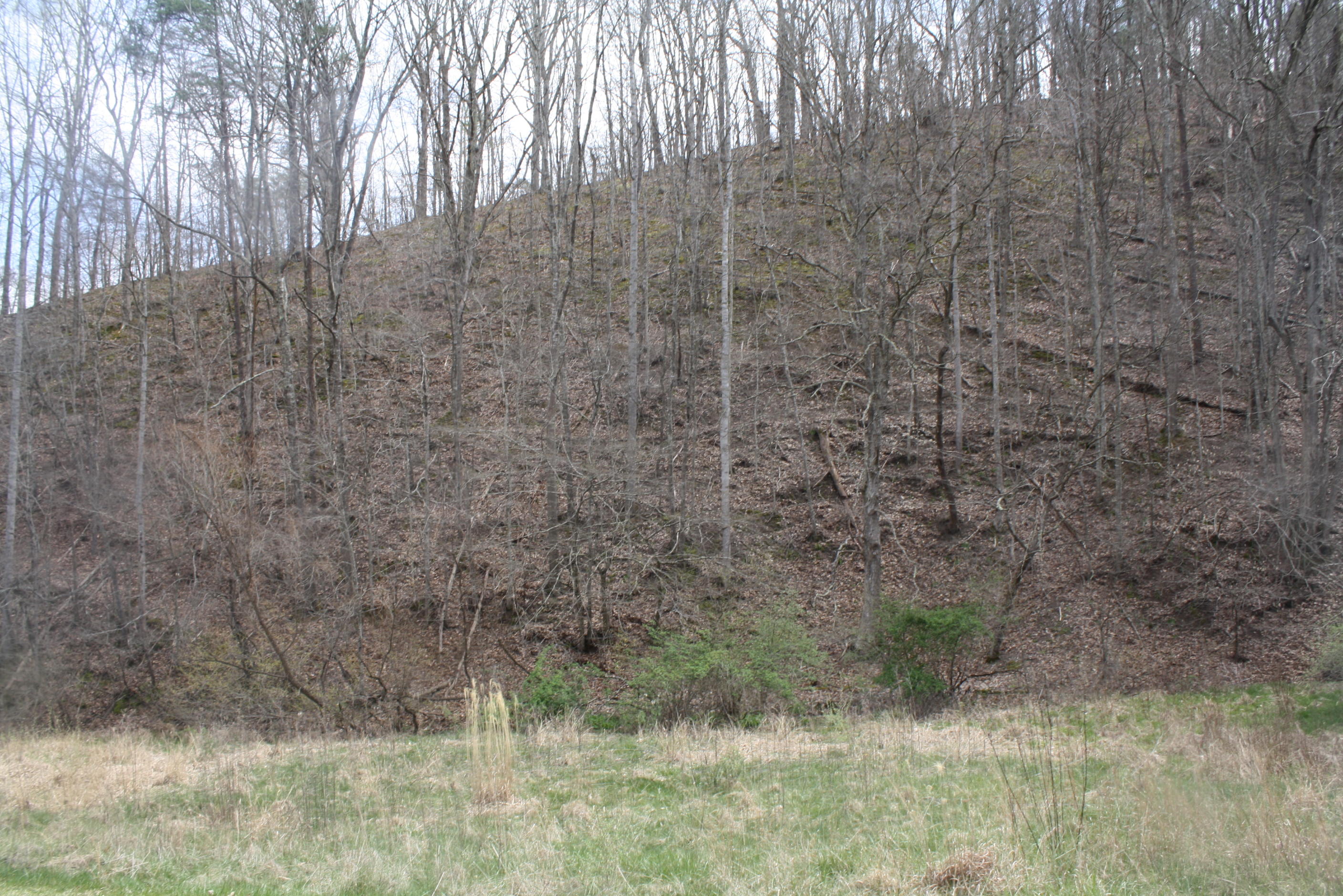 722 East Woodrumtown Road Hinton, WV 25951 - Photo 95 of 145 Gallery Image 95