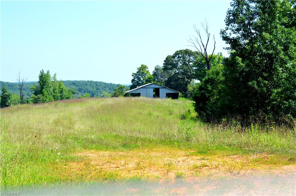 0 Happy Home School Road Ruffin, NC 27326 - Photo 12 of 29 Gallery Image 12