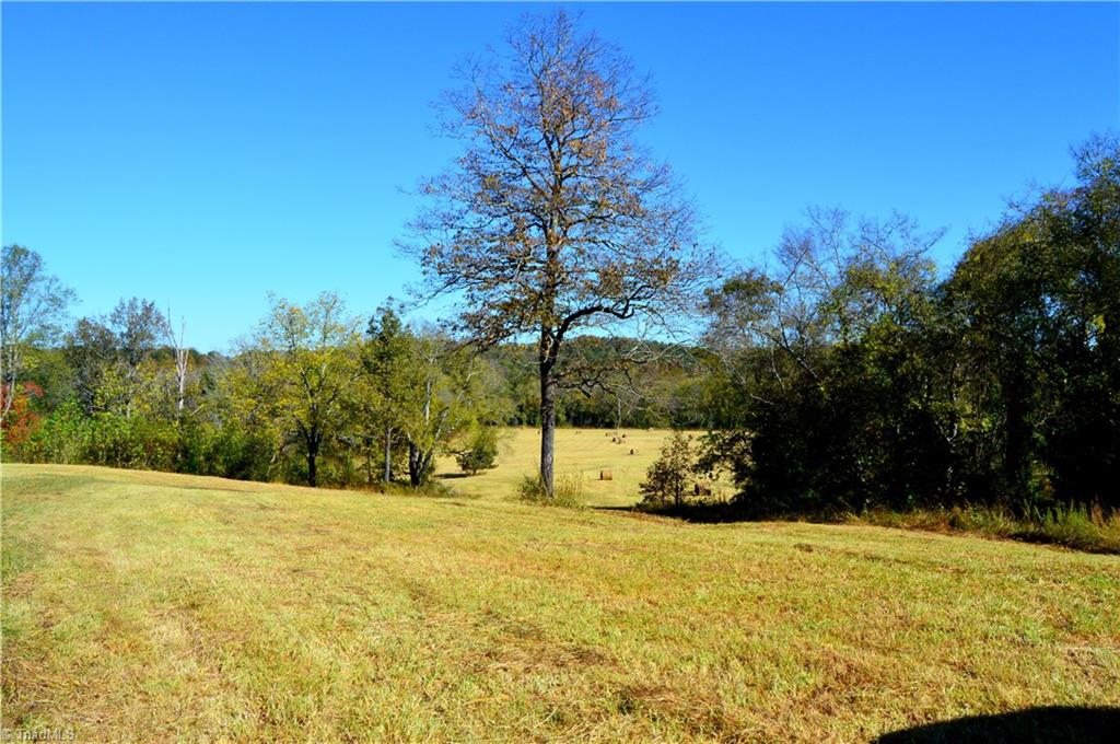 0 Happy Home School Road Ruffin, NC 27326 - Photo 28 of 29 Gallery Image 28
