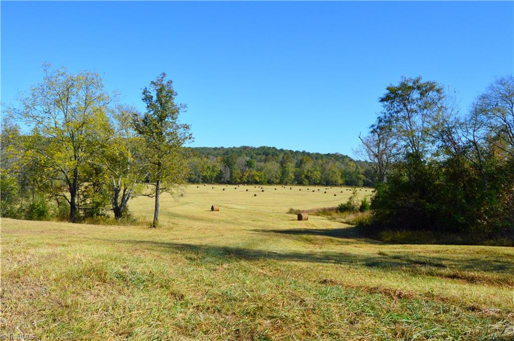 0 Happy Home School Road Ruffin, NC 27326 - Photo 29 of 29 Gallery Image 29