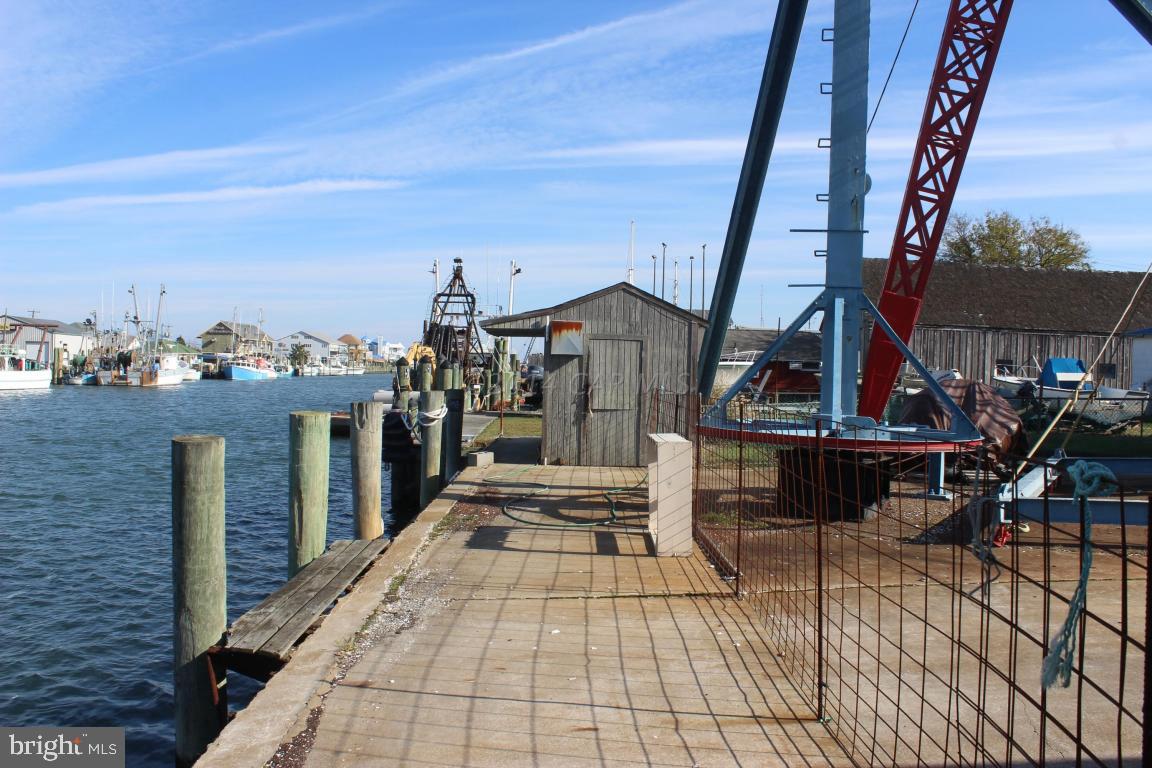 12843 Harbor Road Ocean City, MD 21842 - Photo 8 of 19 Gallery Image 8