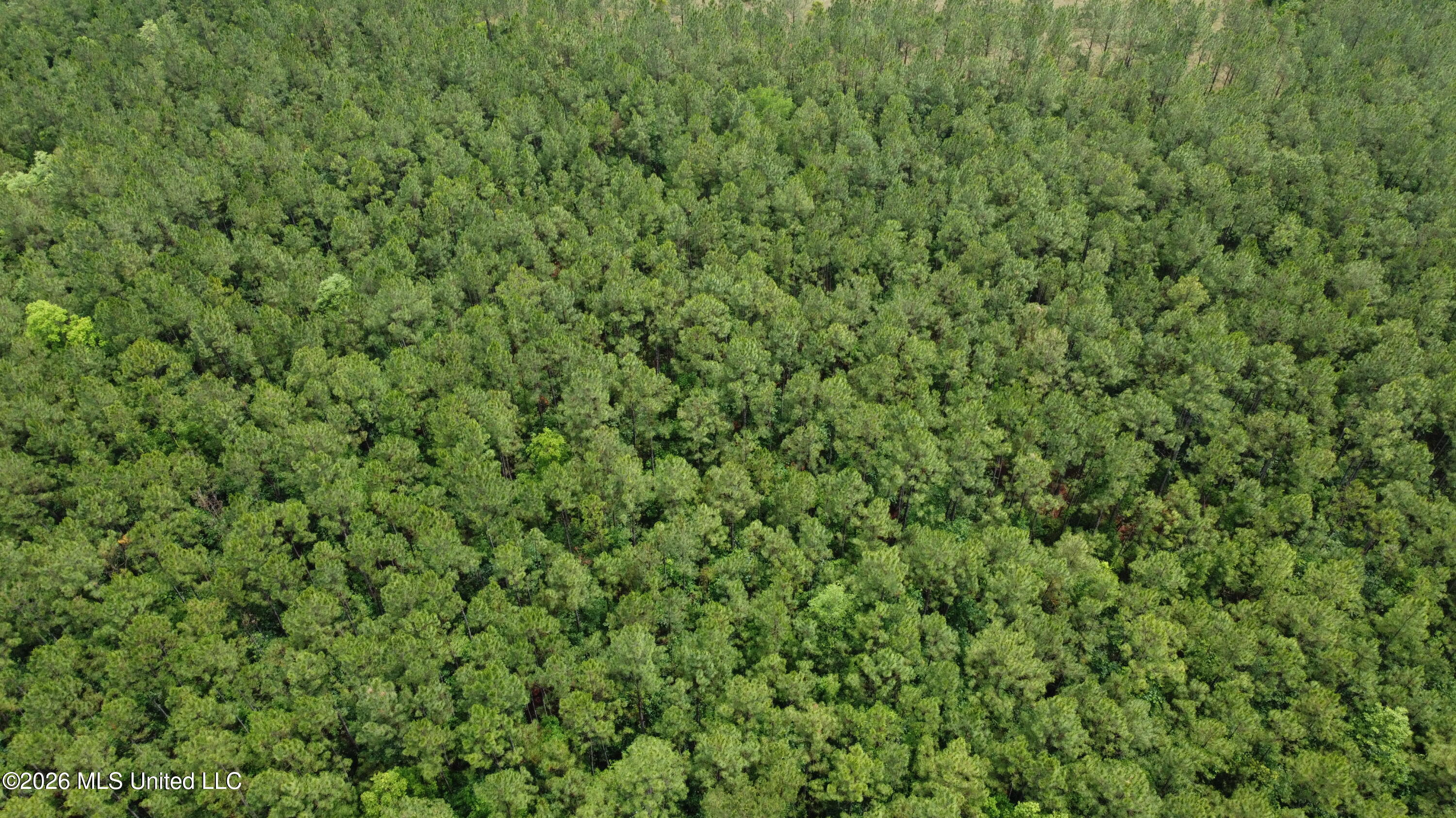 21205 South Fork Road Saucier, MS 39574 - Photo 19 of 23 dji_fly_20260521_140828_402_177939054667