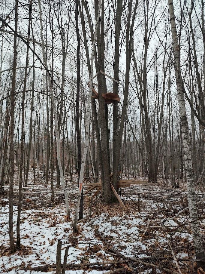 53914 Rutabaga Road Bruno, MN 55712 - Photo 19 of 62