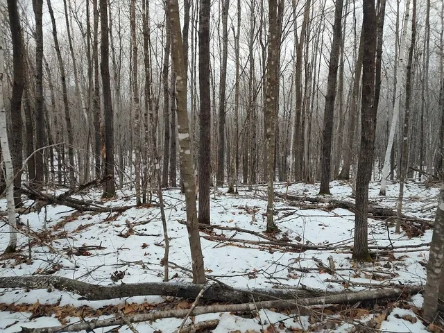 $329,900 | 53914 Rutabaga Road, Bruno, MN 55712