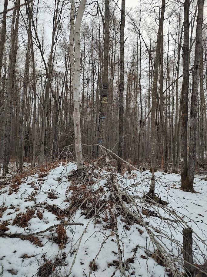 53914 Rutabaga Road Bruno, MN 55712 - Photo 21 of 62