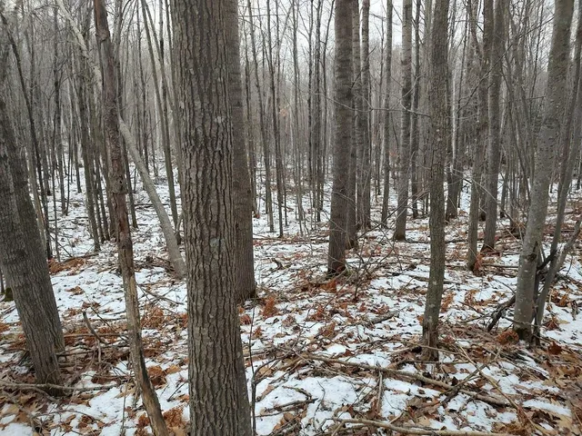 $329,900 | 53914 Rutabaga Road, Bruno, MN 55712