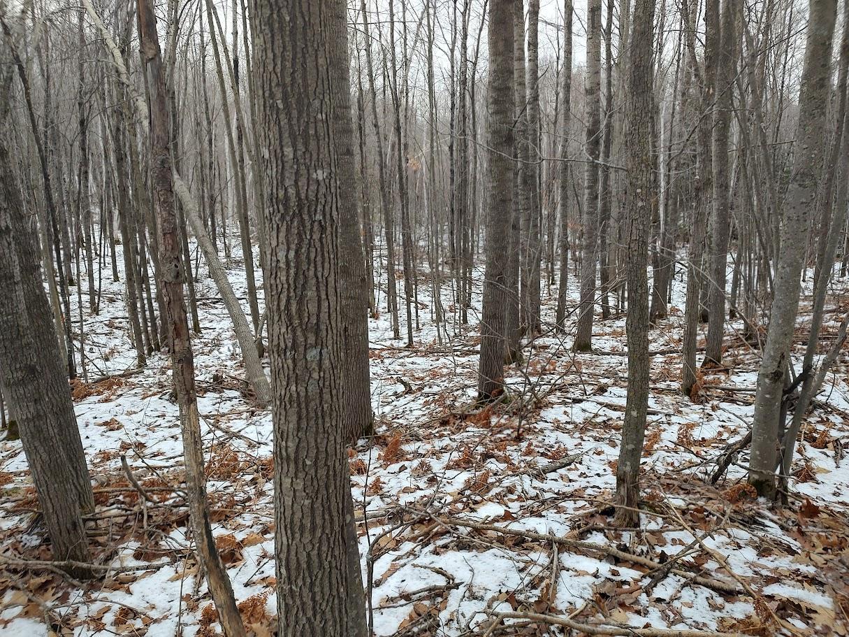 53914 Rutabaga Road Bruno, MN 55712 - Photo 22 of 62