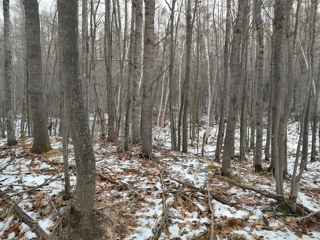 $329,900 | 53914 Rutabaga Road, Bruno, MN 55712