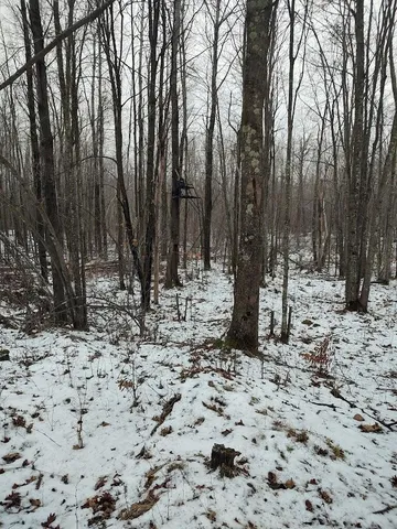 $329,900 | 53914 Rutabaga Road, Bruno, MN 55712