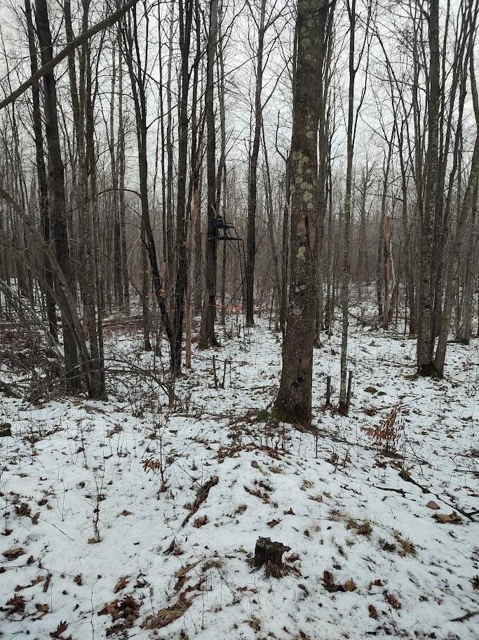 53914 Rutabaga Road Bruno, MN 55712 - Photo 26 of 62