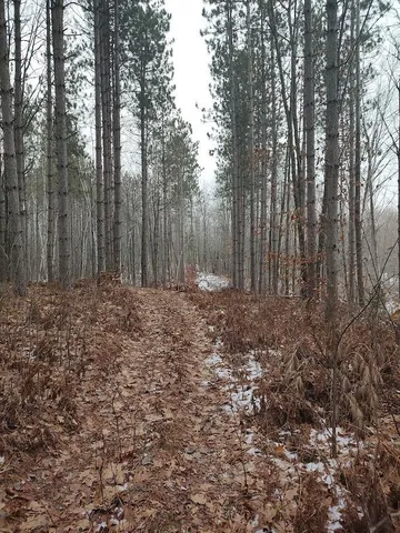 $329,900 | 53914 Rutabaga Road, Bruno, MN 55712