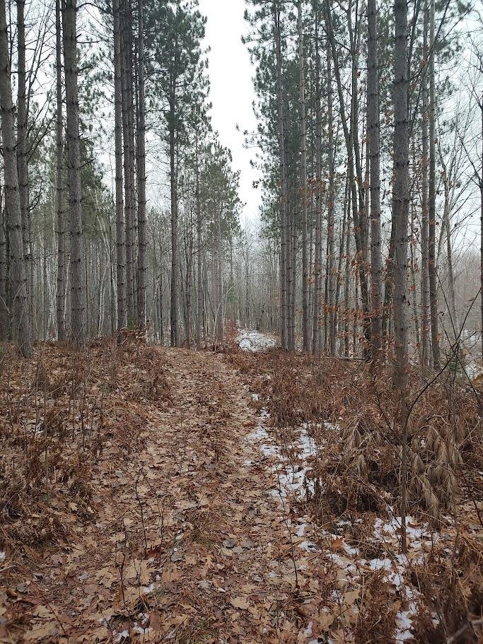 53914 Rutabaga Road Bruno, MN 55712 - Photo 28 of 62