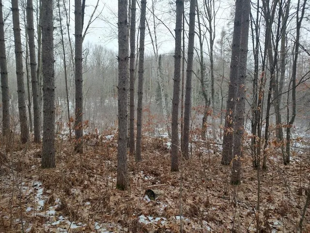 $329,900 | 53914 Rutabaga Road, Bruno, MN 55712