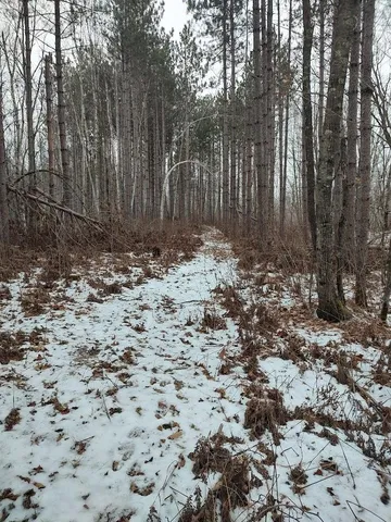 $329,900 | 53914 Rutabaga Road, Bruno, MN 55712