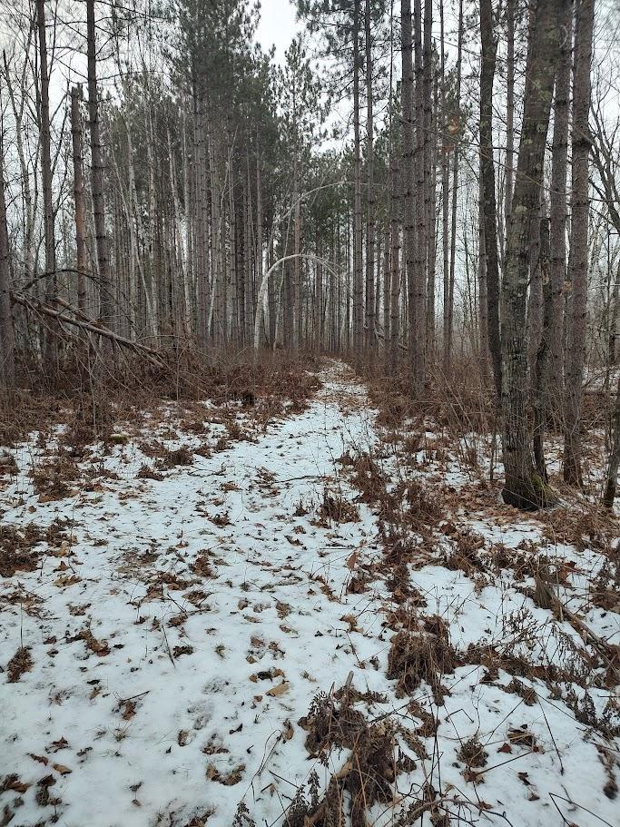 53914 Rutabaga Road Bruno, MN 55712 - Photo 30 of 62