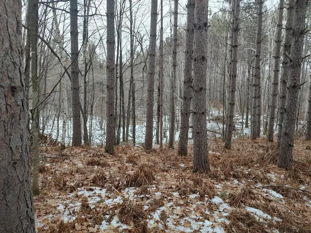 $329,900 | 53914 Rutabaga Road, Bruno, MN 55712