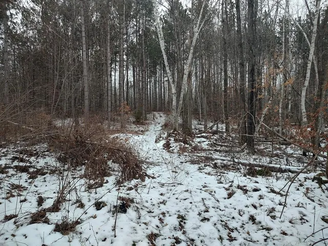 $329,900 | 53914 Rutabaga Road, Bruno, MN 55712