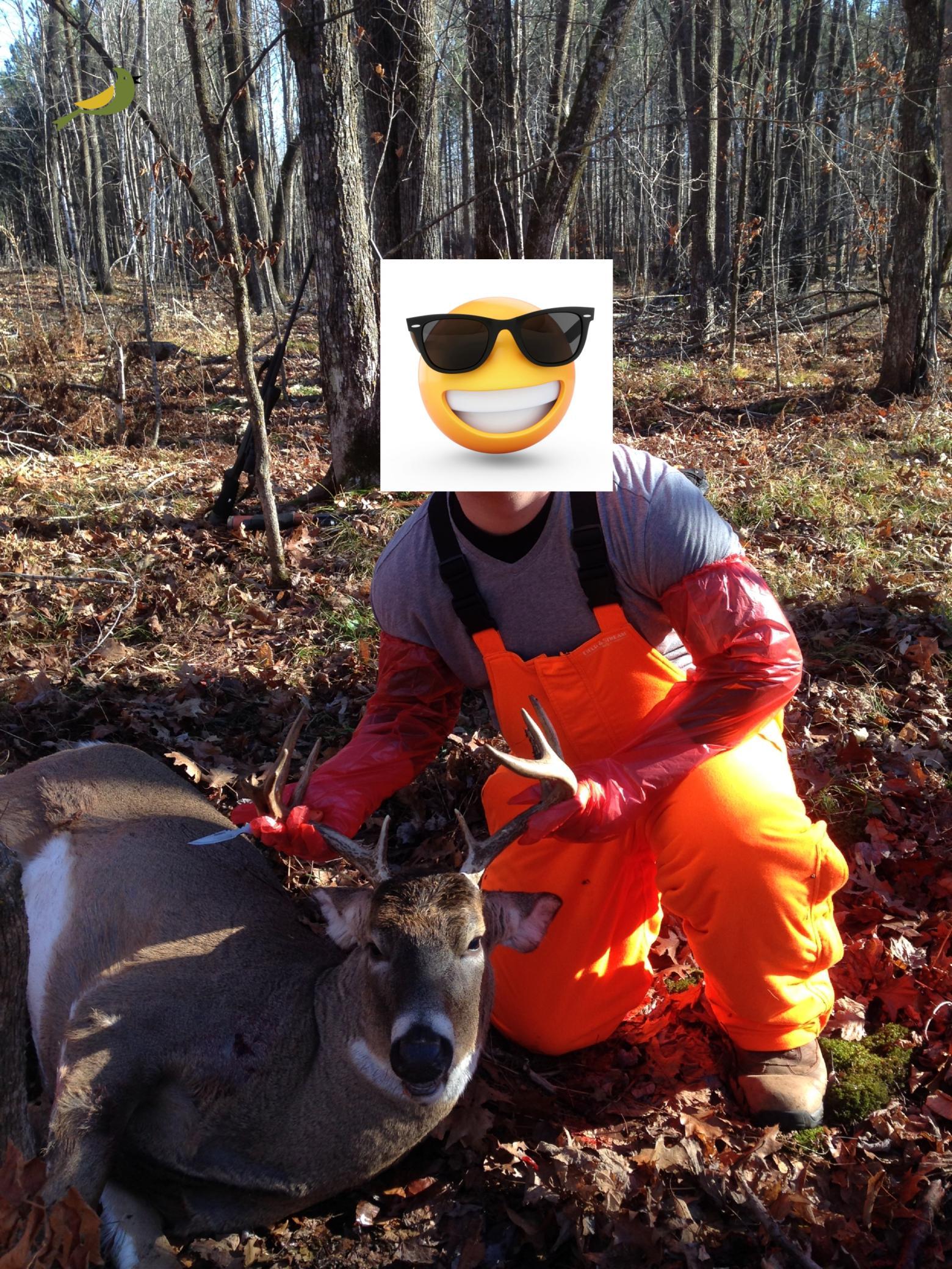 53914 Rutabaga Road Bruno, MN 55712 - Photo 39 of 62