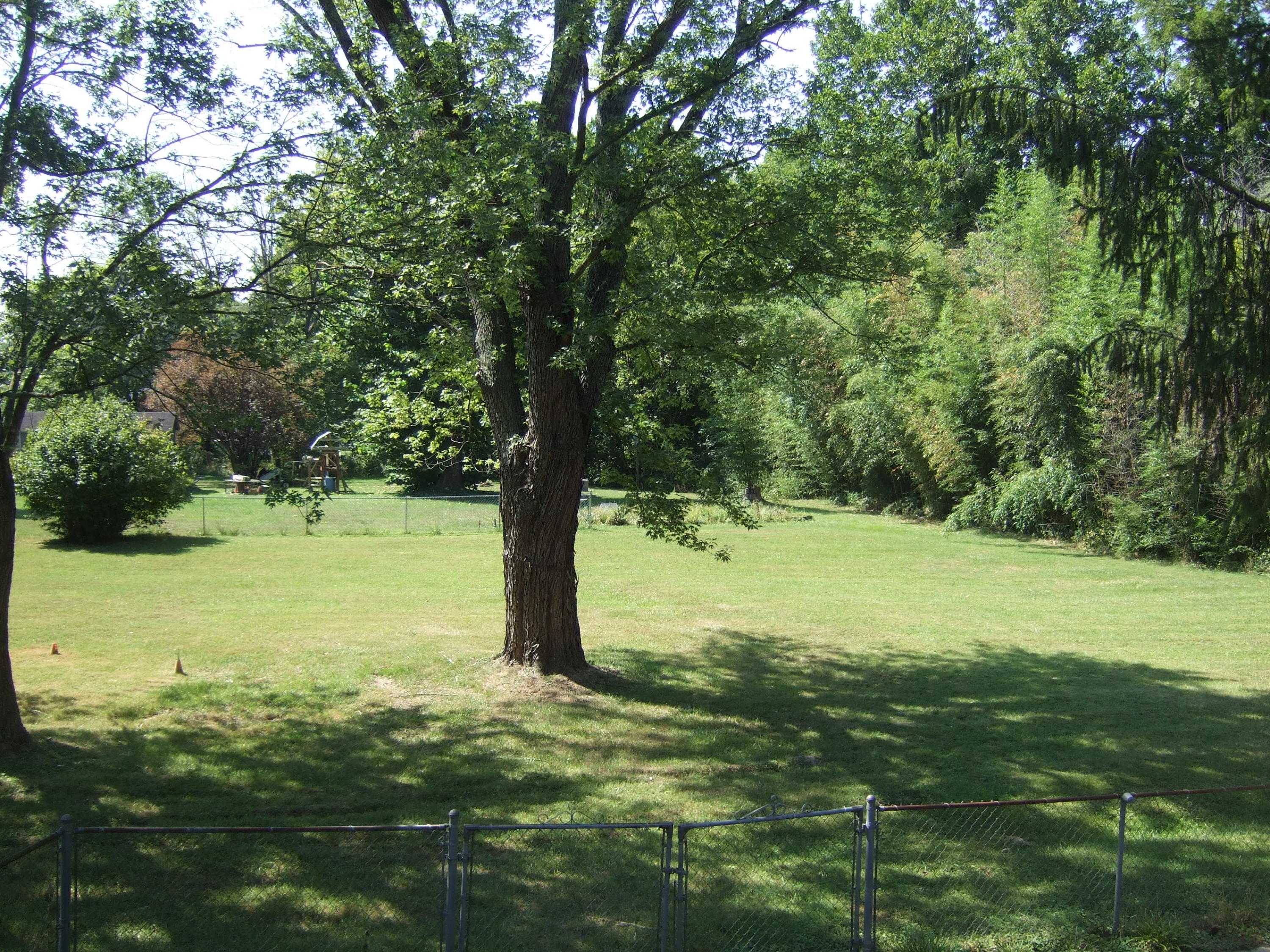 2752 Green Ridge Road Roanoke, VA 24019 - Photo 11 of 17 a view of an outdoor space