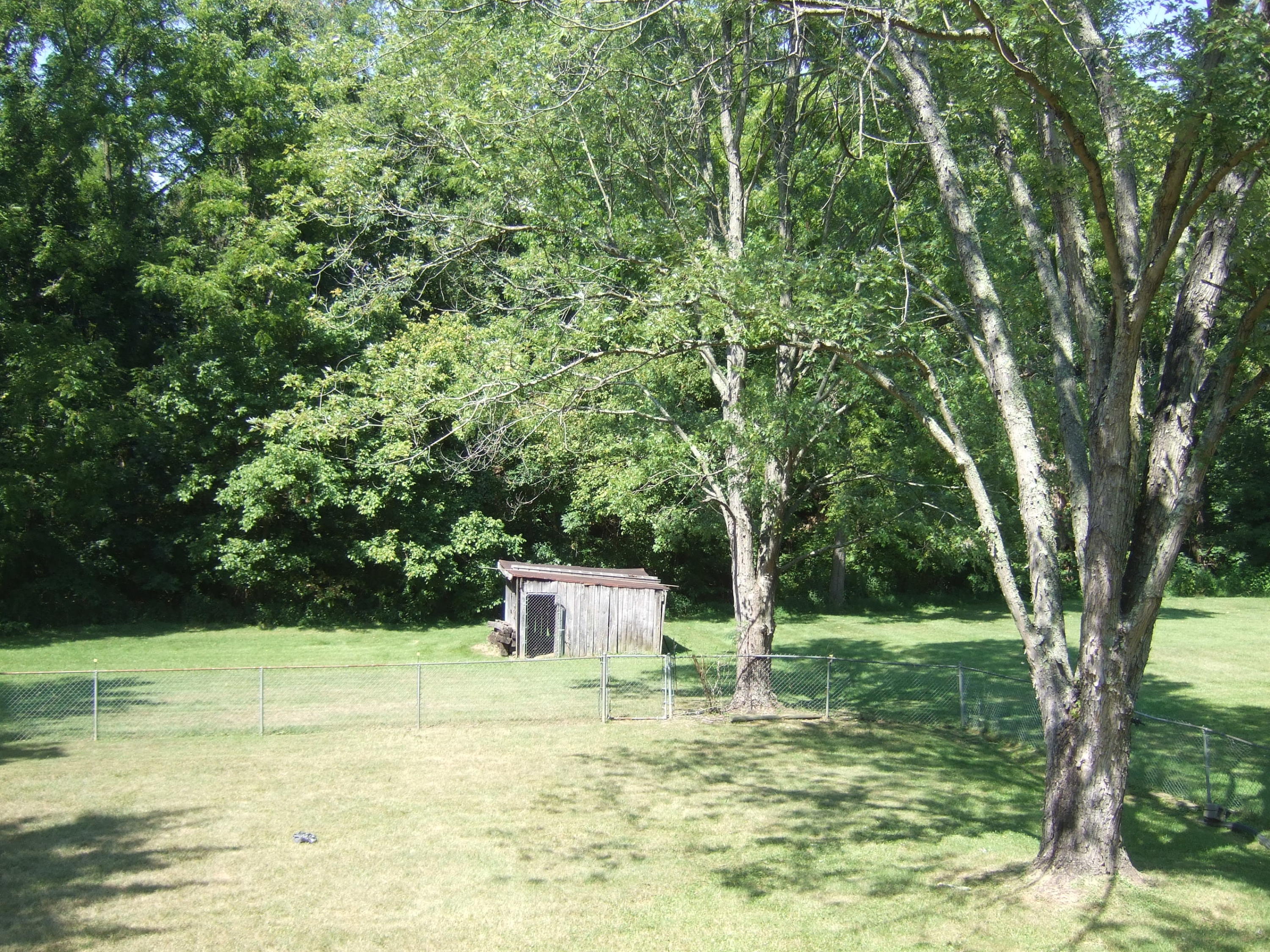 2752 Green Ridge Road Roanoke, VA 24019 - Photo 9 of 17 a view of a garden with trees