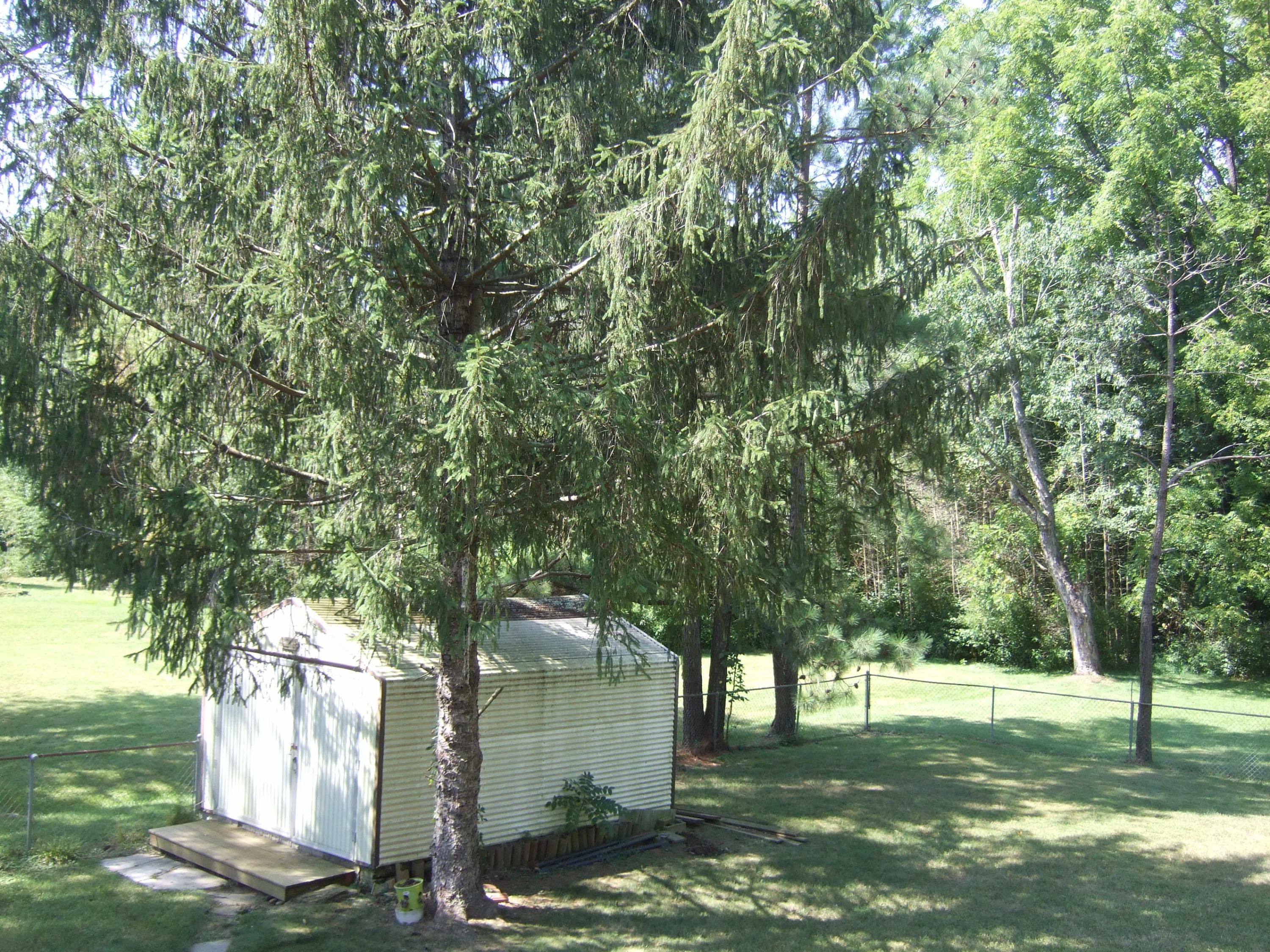 2752 Green Ridge Road Roanoke, VA 24019 - Photo 10 of 17 a view of a garden with a tree