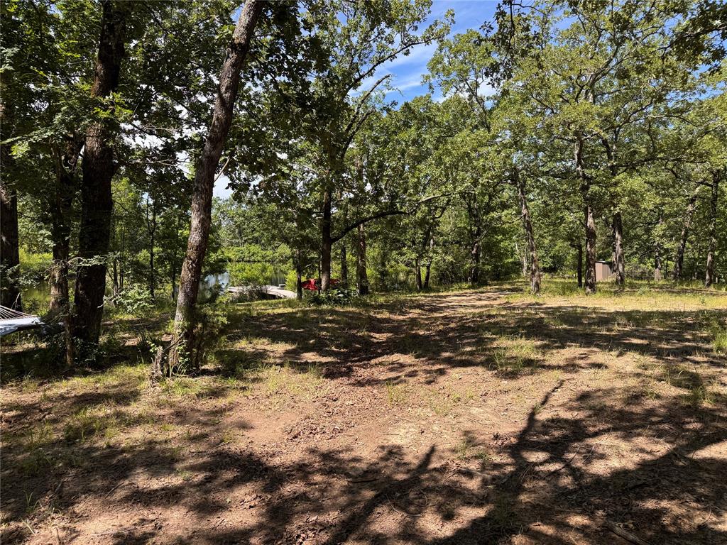 1411 Rains County Road 2610 Alba, TX 75410 - Photo 15 of 25 a view of a yard with a tree