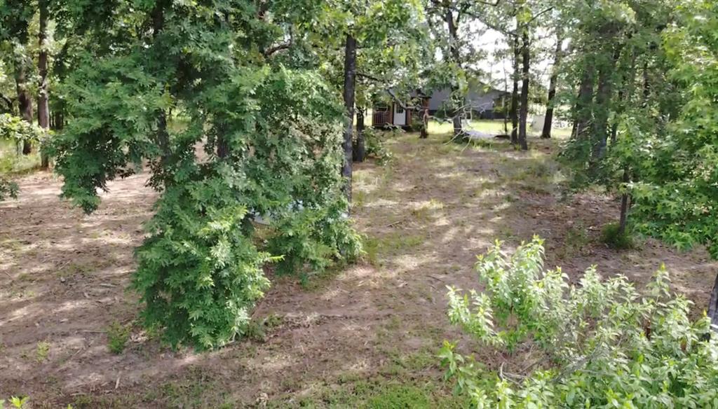 1411 Rains County Road 2610 Alba, TX 75410 - Photo 19 of 25 a view of a forest with lots of trees