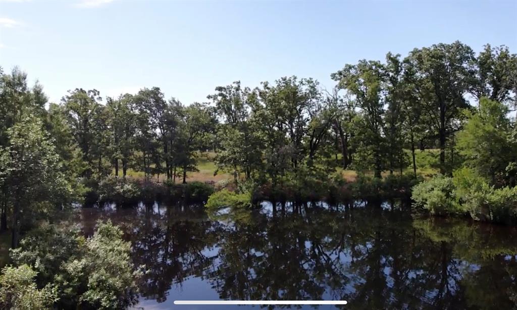 1411 Rains County Road 2610 Alba, TX 75410 - Photo 24 of 25 a view of a yard