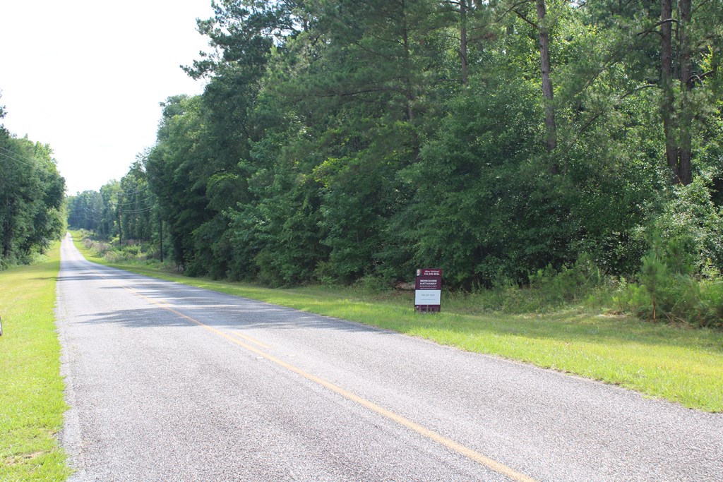 0 Pataula Park Road Georgetown, GA 39854 - Photo 8 of 12