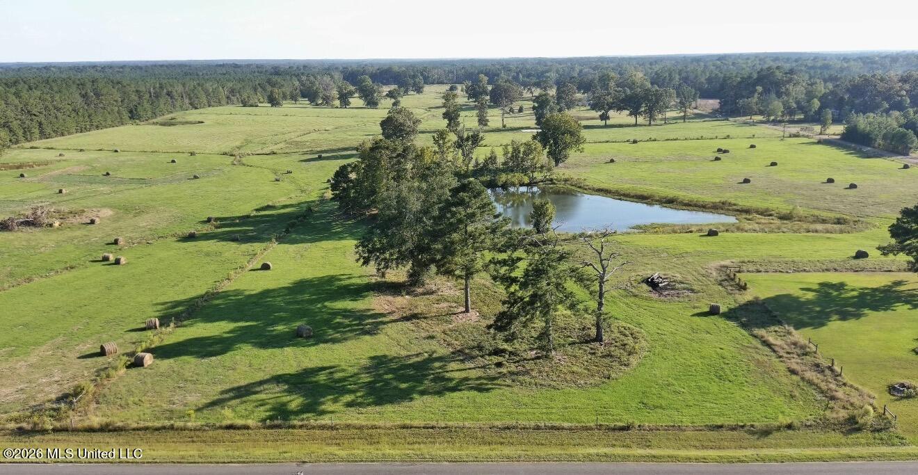 Bogue Chitto Road Smithdale, MS 39664 - Photo 2 of 2 10 Lincoln Bogue Chitto mls pic