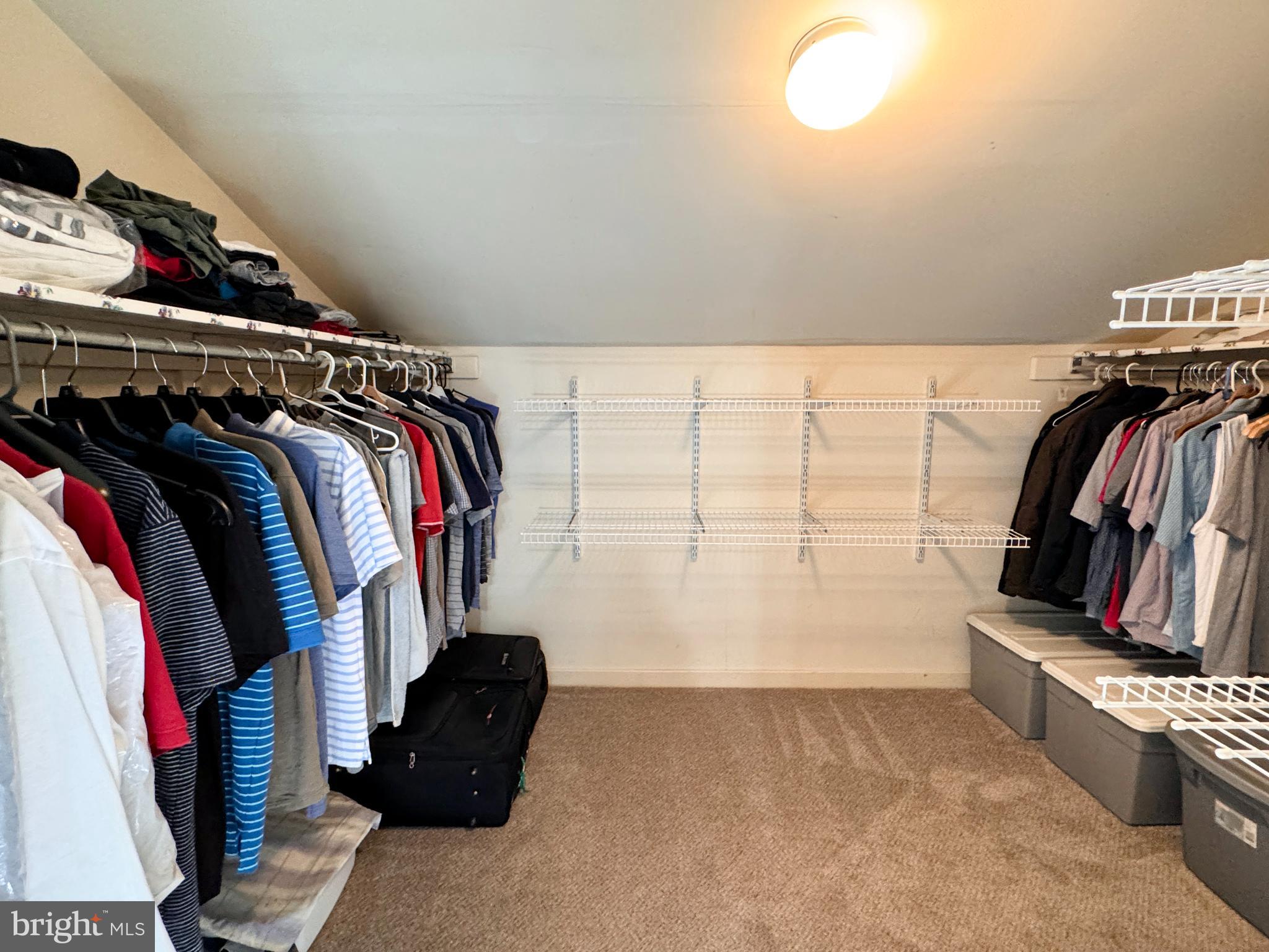 363 Chickory Way Newark, DE 19711 - Photo 20 of 42 a view of walk in closet with clothes and shoes