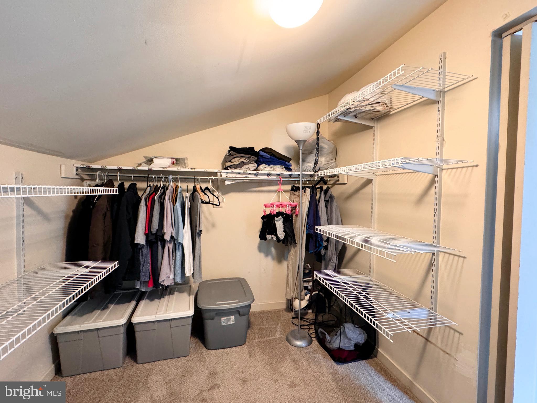 363 Chickory Way Newark, DE 19711 - Photo 21 of 42 a view of walk in closet with clothes and shoes