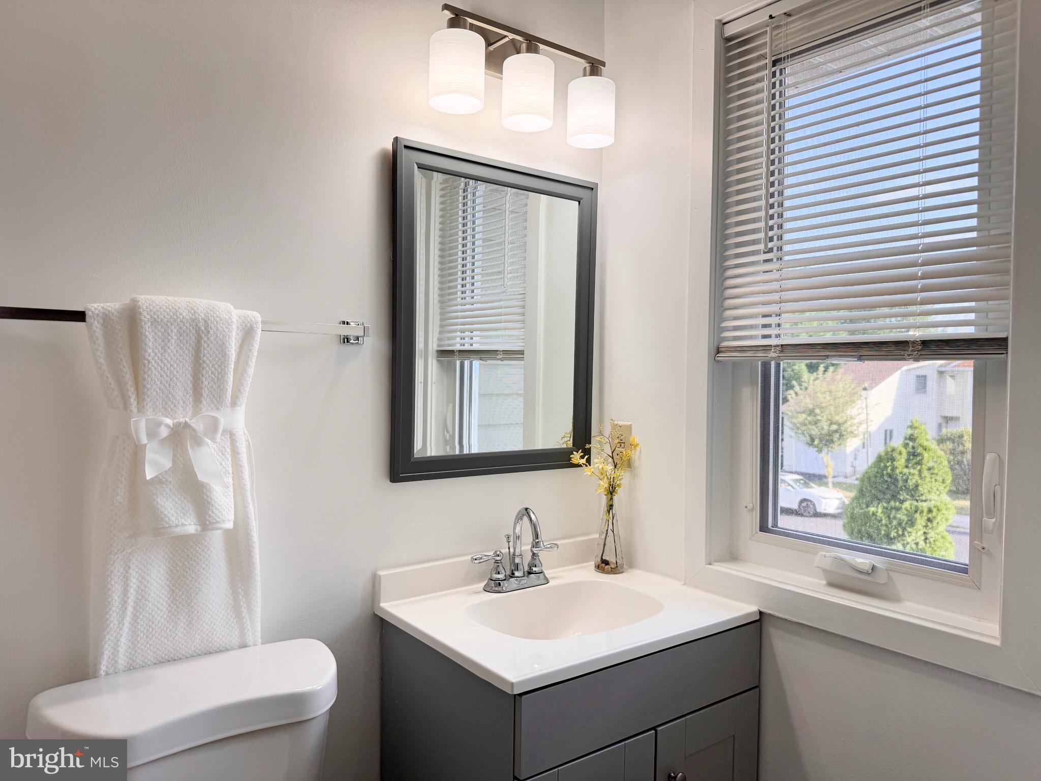 363 Chickory Way Newark, DE 19711 - Photo 22 of 42 a bathroom with a toilet sink and mirror