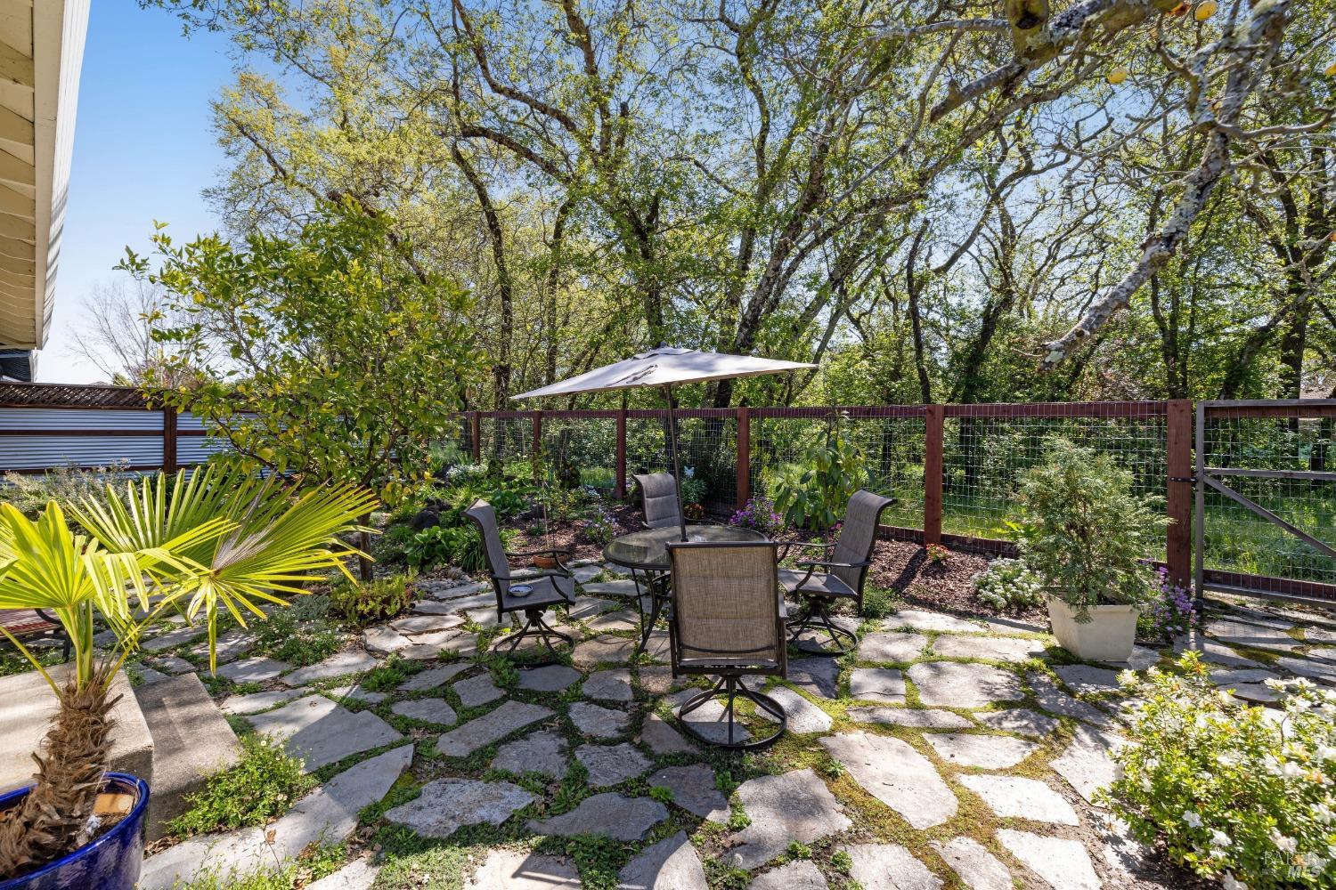 923 Foothill Drive Windsor, CA 95492 - Photo 1 of 1 a view of backyard with outdoor seating and trees