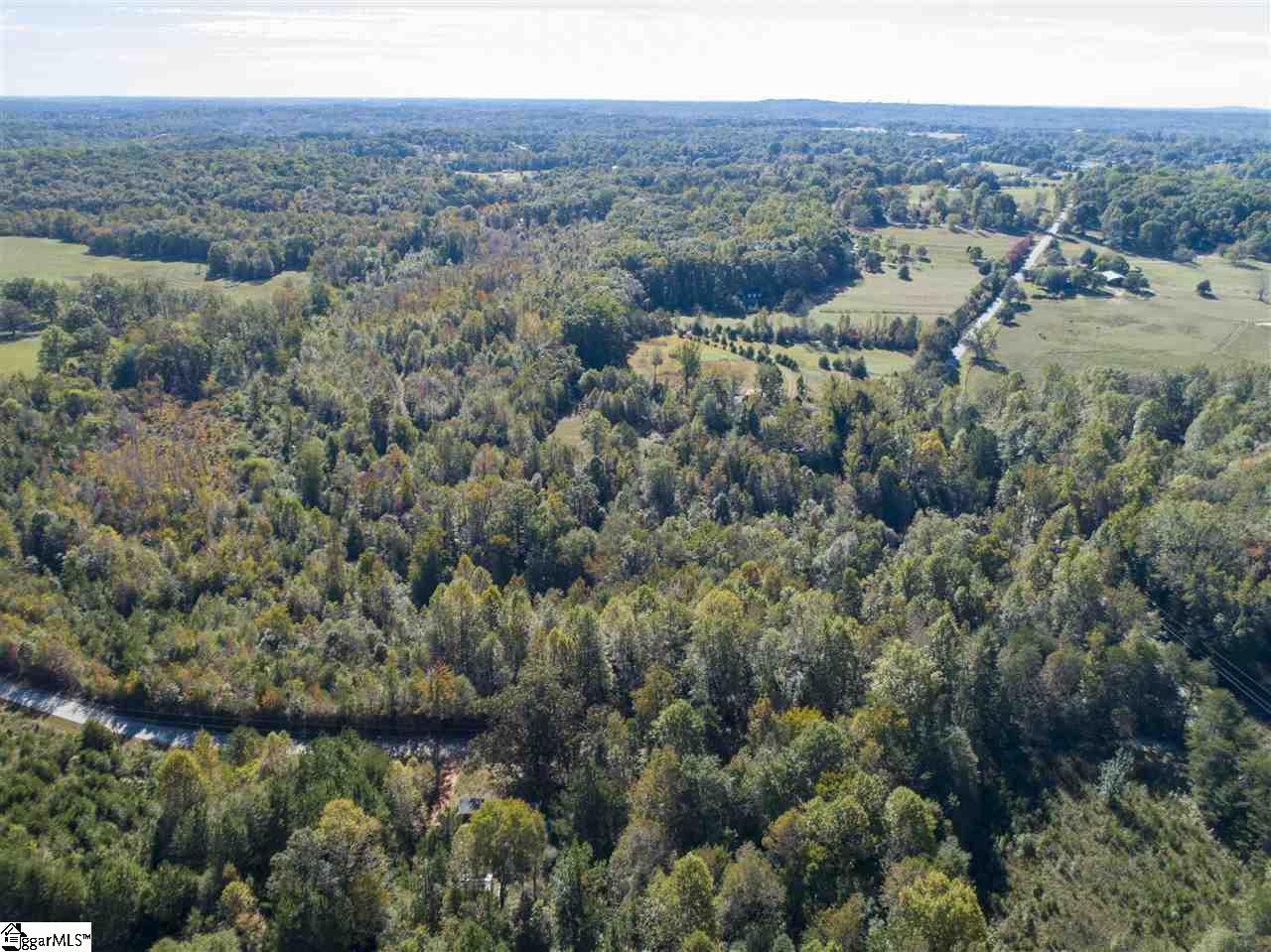 0 Fate Dill Road, Unit TRACT 1 Greer, SC 29651 - Photo 3 of 4