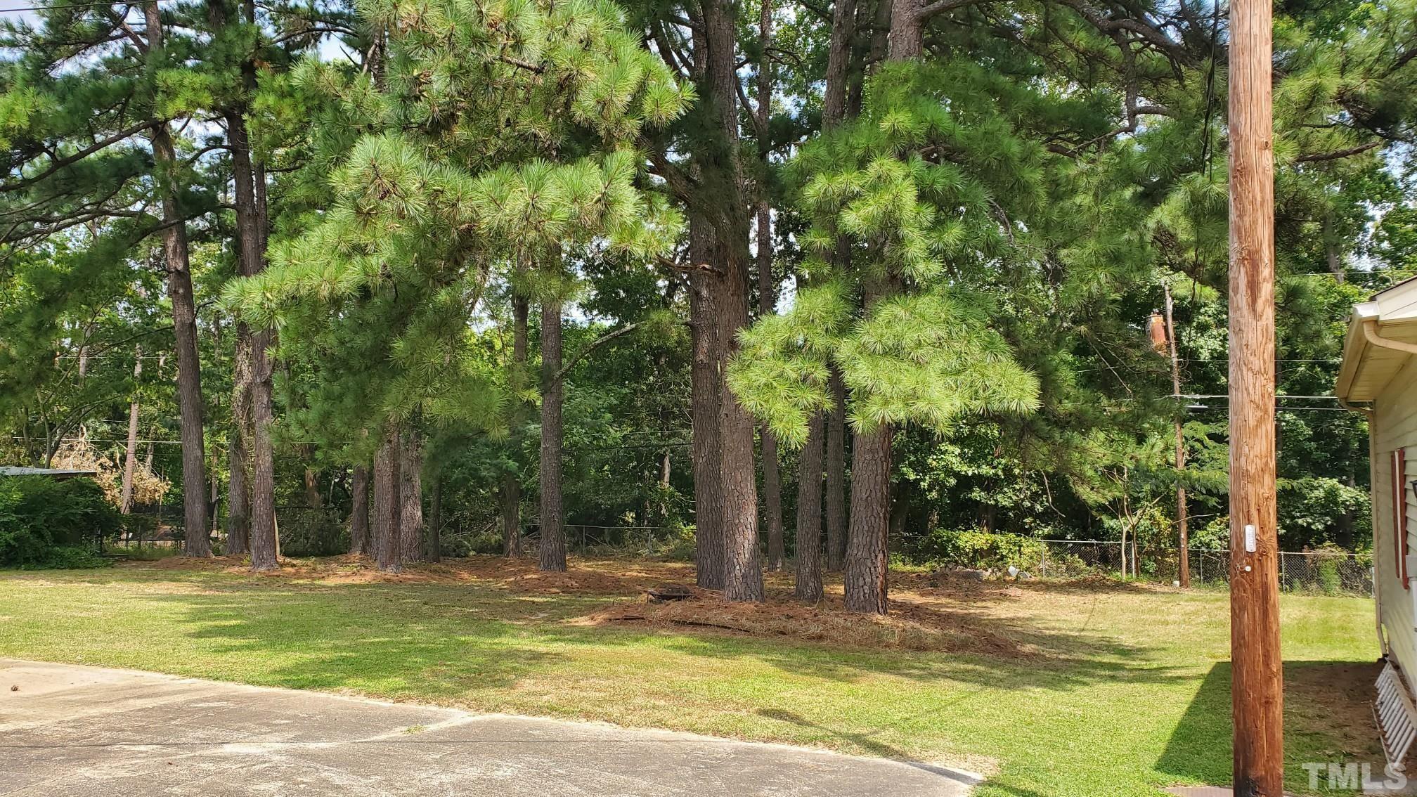 2520 Ardsley Drive Durham, NC 27704 - Photo 25 of 28 a view of a trees in a yard