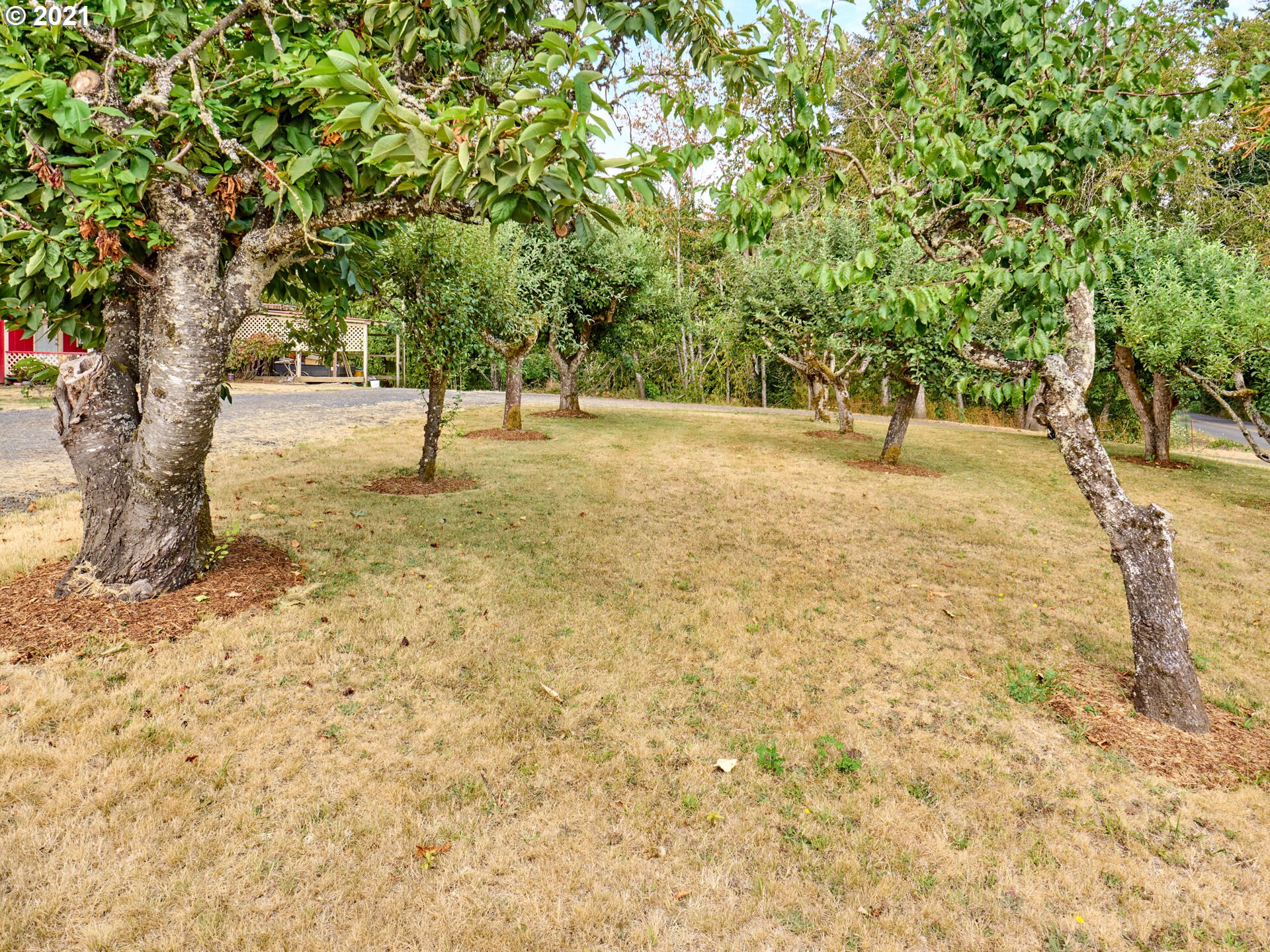 5696 South Whiskey Hill Road Hubbard, OR 97032 - Photo 23 of 30 Gallery Image 23