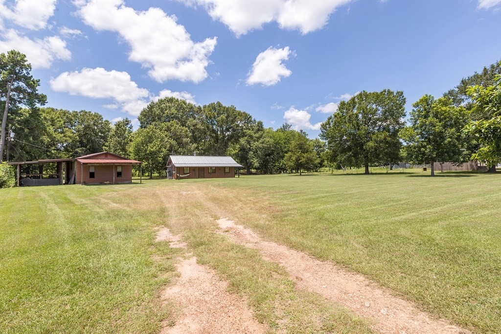957 Dewitt Hinson Road Pollok, TX 75969 - Photo 18 of 28