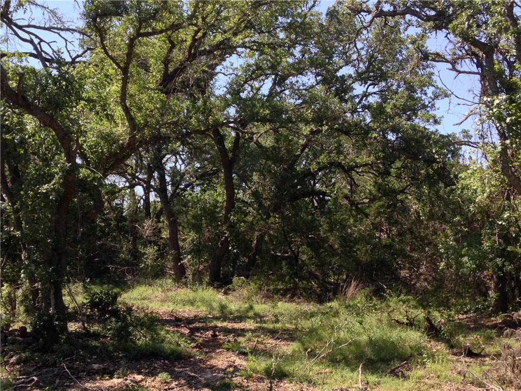 12000 Rr 2325 Wimberley, TX 78676 - Photo 1 of 1